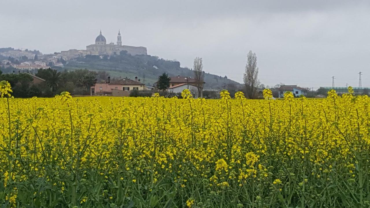 Villetta Del Conero Porto Recanati Exterior photo